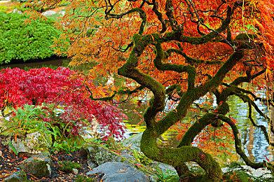 《星际公民》视频展示3.17版内容 众筹突破4.44亿刀