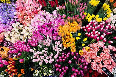 《拉娜的星球》5月23日发售 最低配置GTX 1080